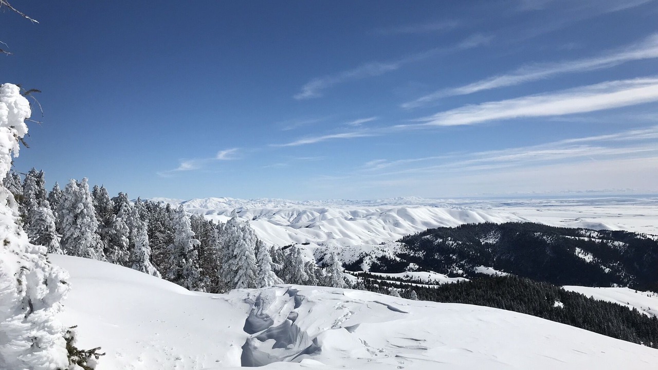 Photo of Others in Corral