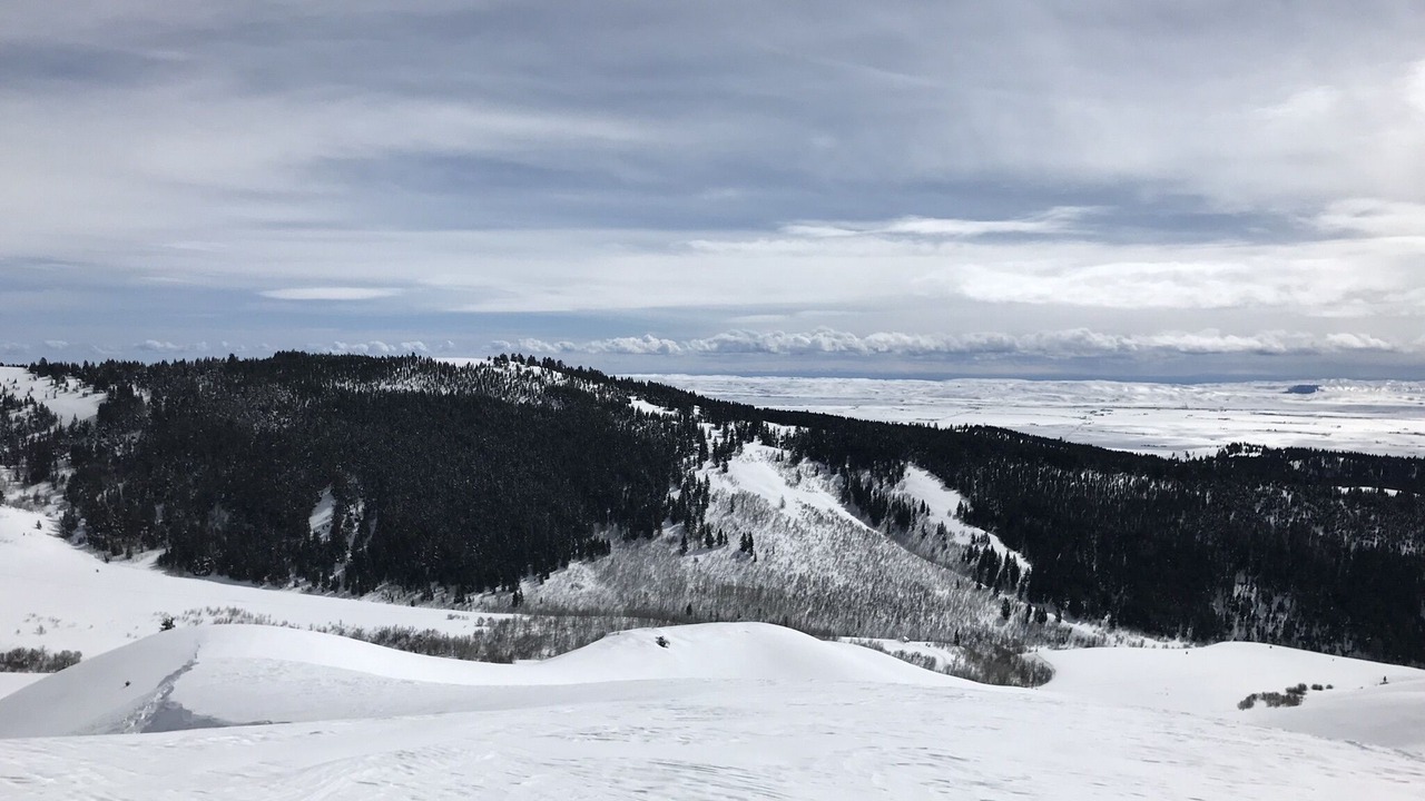 Photo of Others in Corral