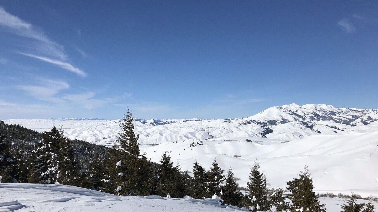 Photo of Others in Corral