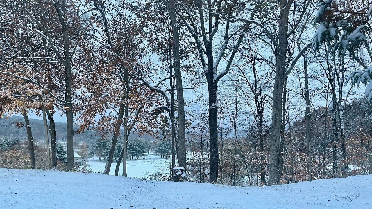 Photo of Others in West Hartford