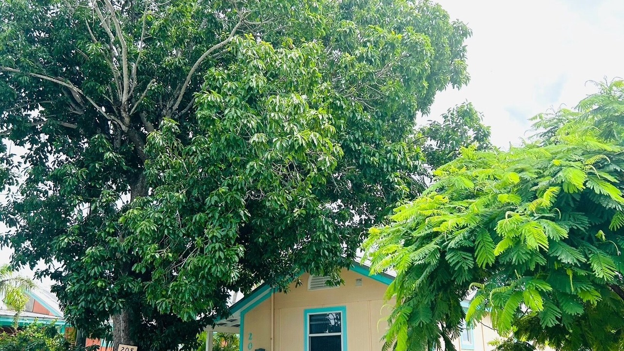 Photo of Outdoor in Naples