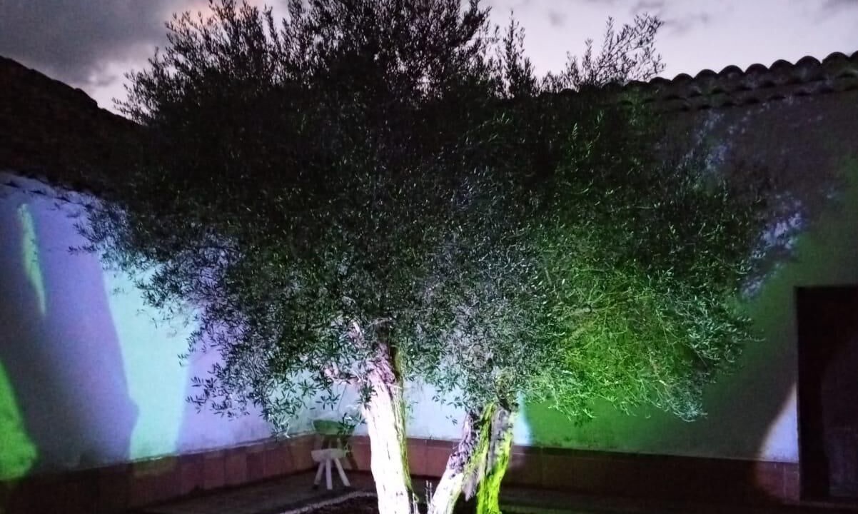 Photo of Outdoor in Villalba de la Sierra