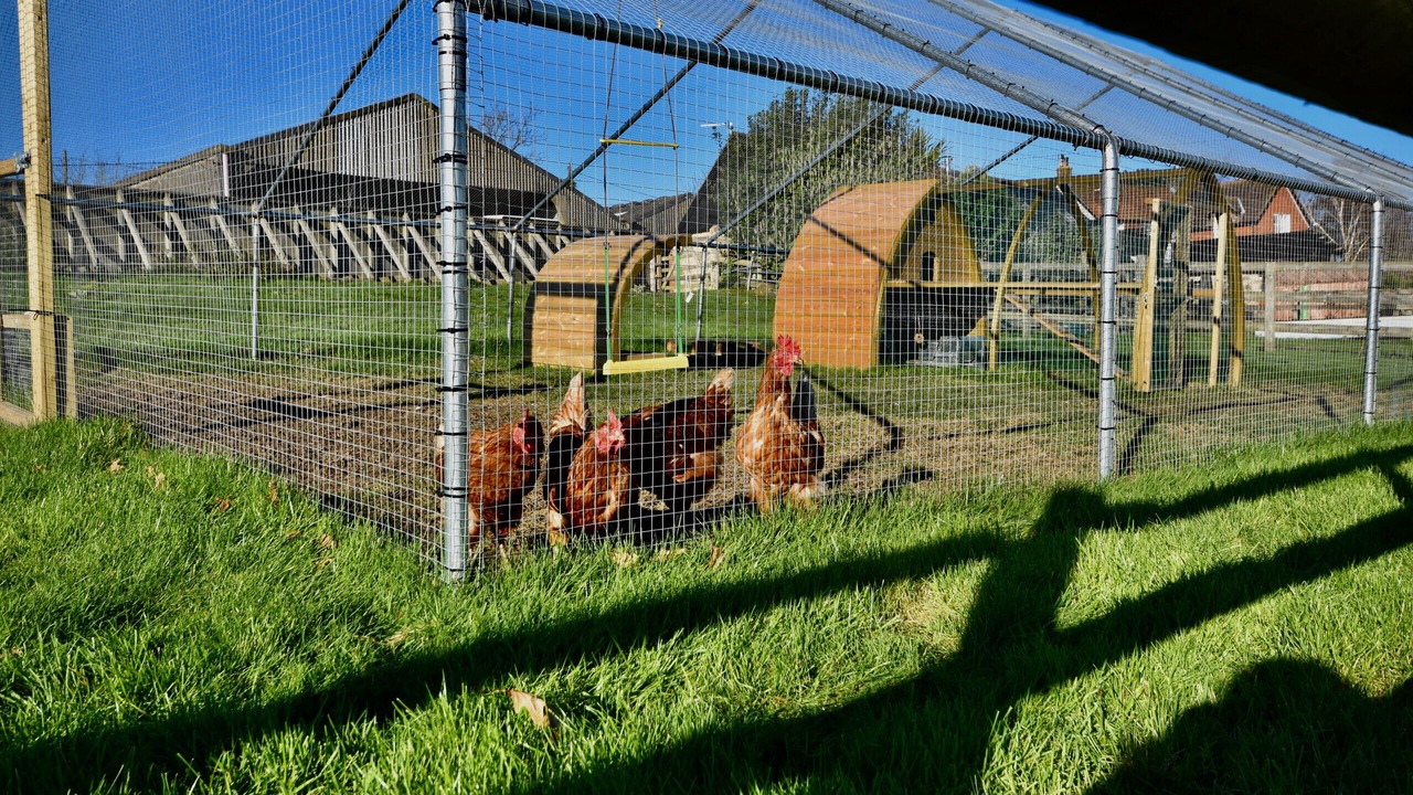 Photo of Others in Ryde