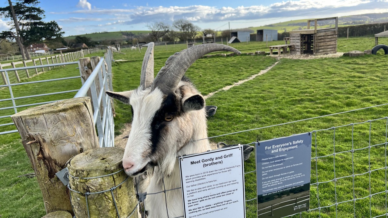 Photo of Others in Ryde