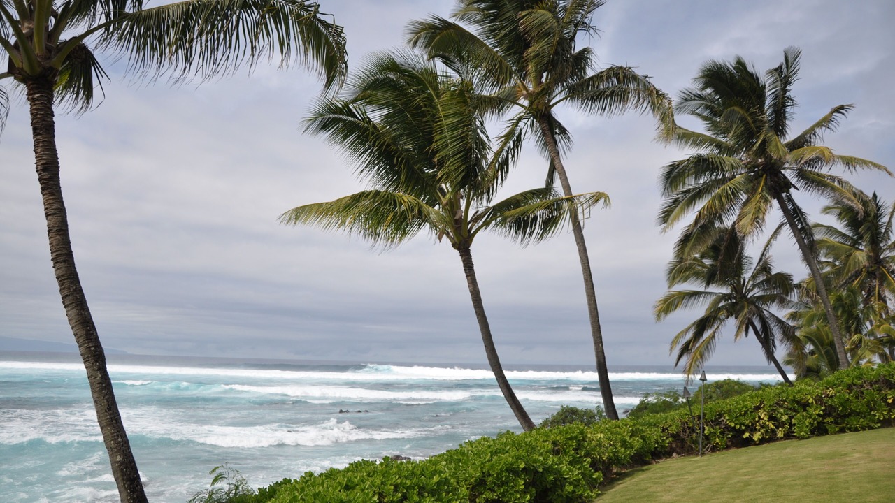 Photo of Others in Kuau