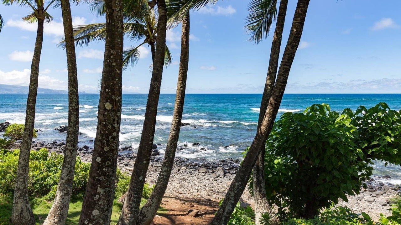 Photo of Others in Kuau