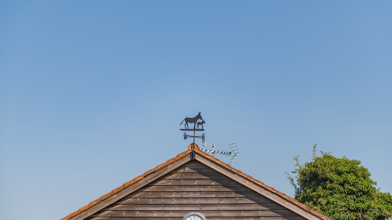 Photo of Others in Sandwich