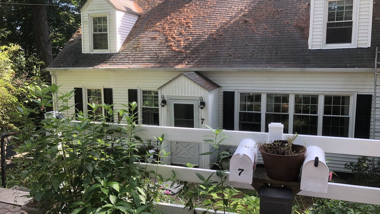 Photo of Outdoor in Unionville