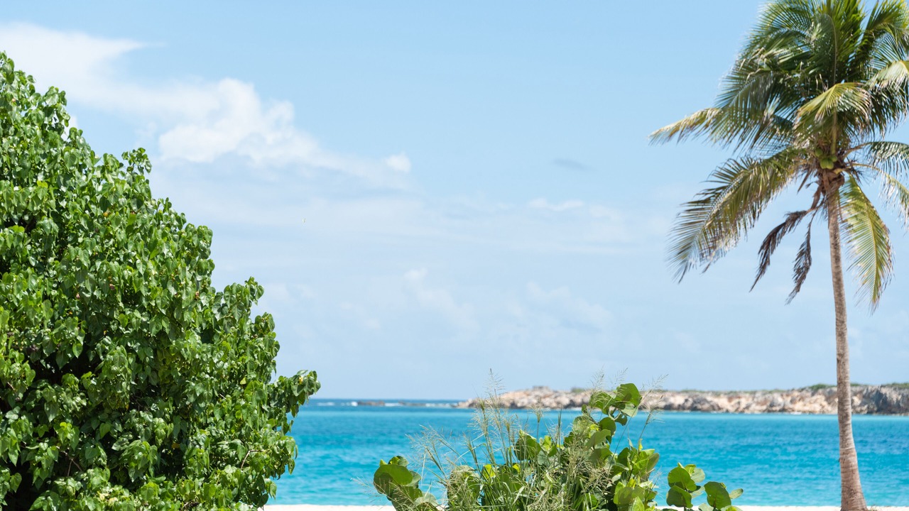 Photo of Others in Orient Bay