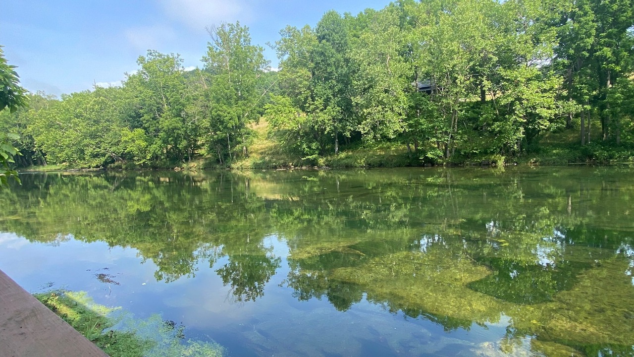 Photo of Outdoor in Bluff City