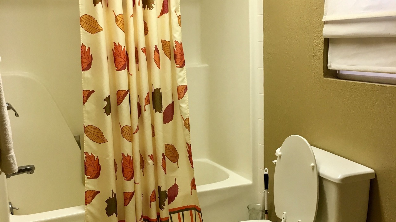 Photo of Bathroom in Norfork