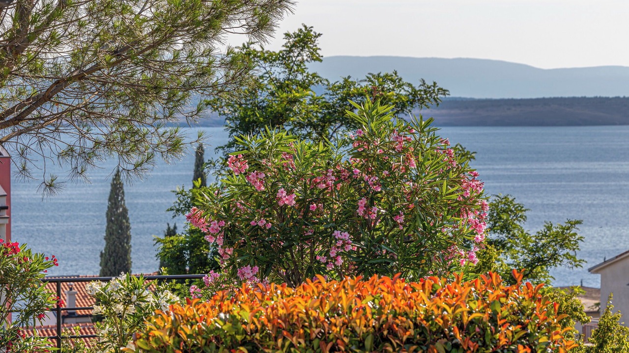Photo of Outdoor in Dramalj