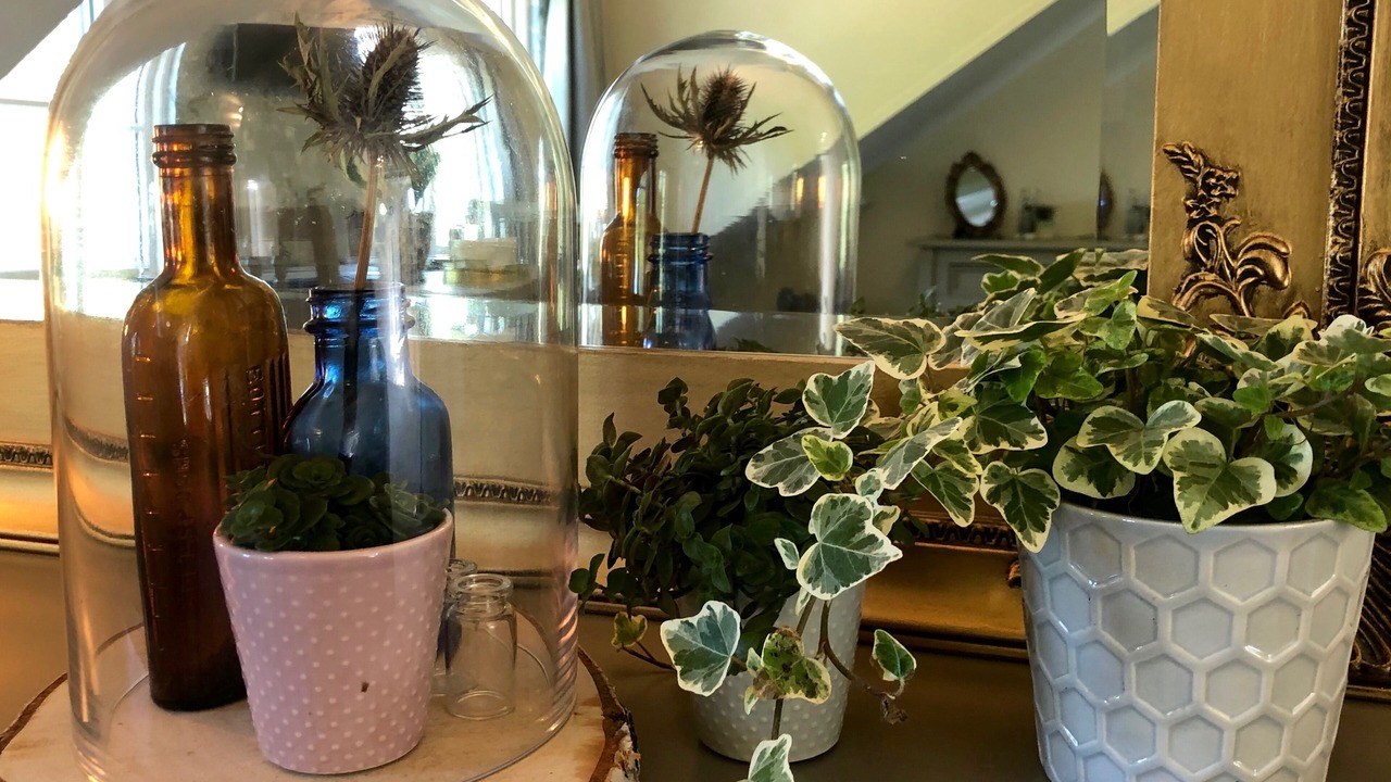 Photo of Others in Lydford