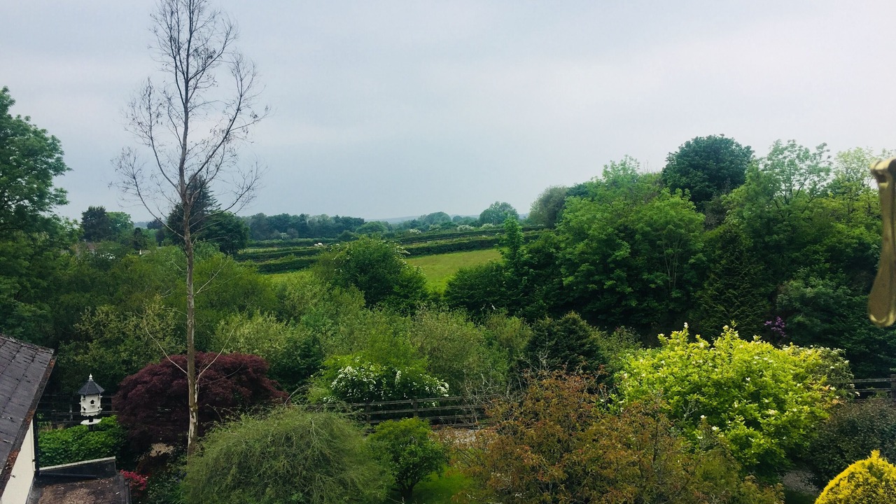 Photo of Others in Lydford