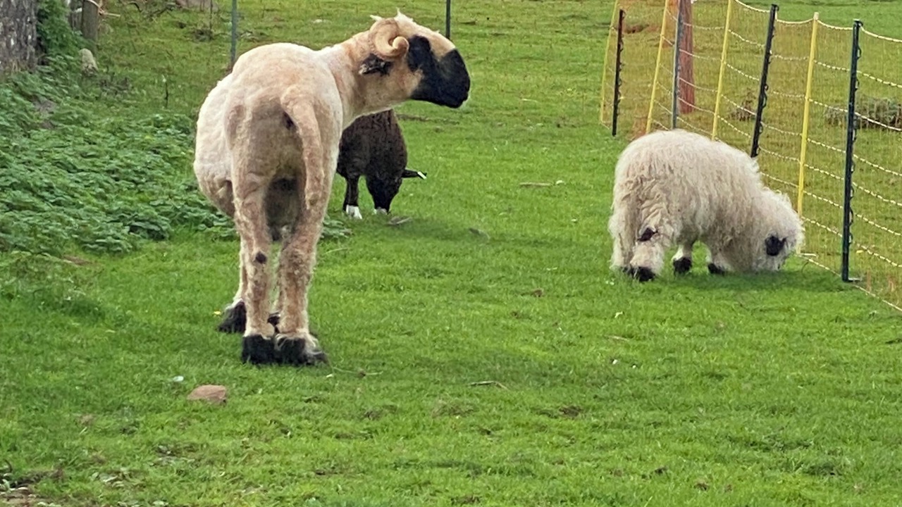 Photo of Others in Coalpit Heath