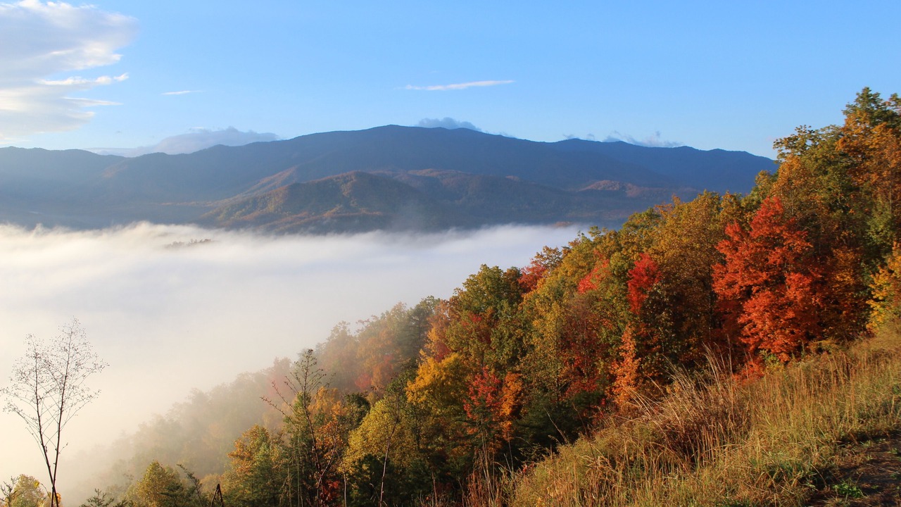 Photo of Outdoor in Gatlinburg