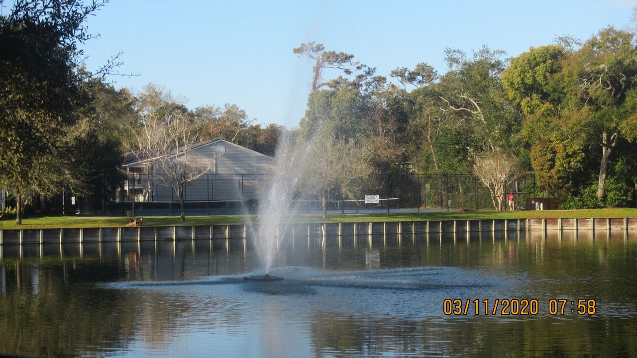 Photo of Others in Demere Park