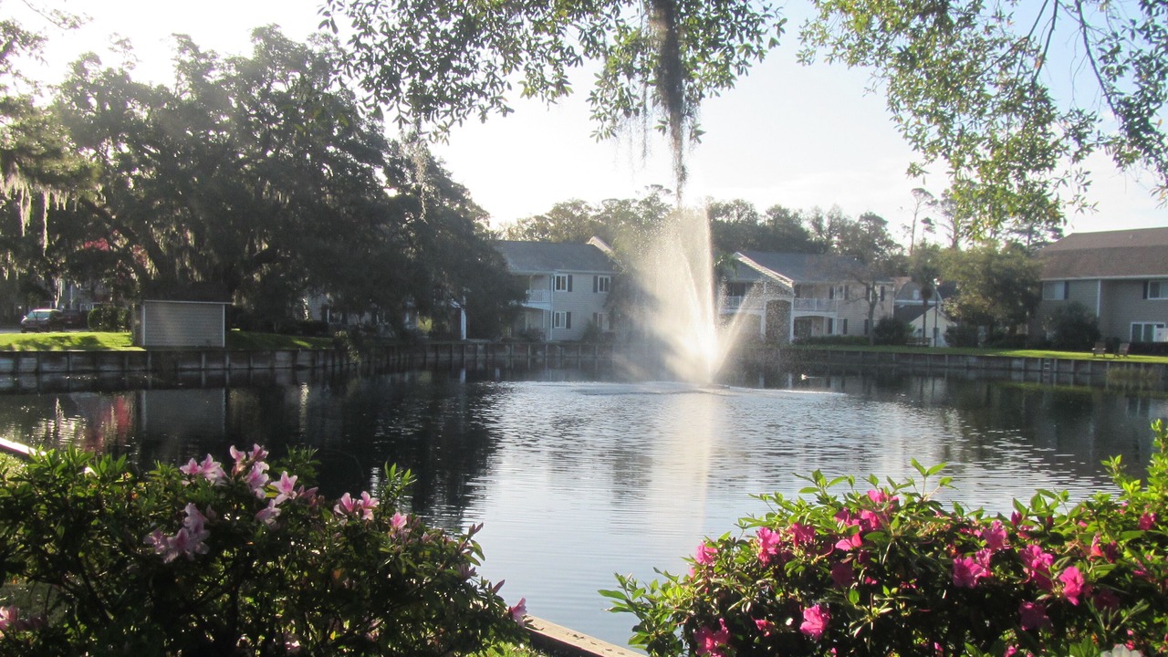 Photo of Others in Demere Park