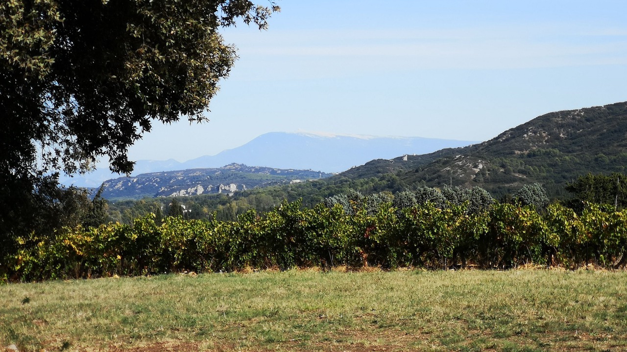 Photo of Outdoor in Saze