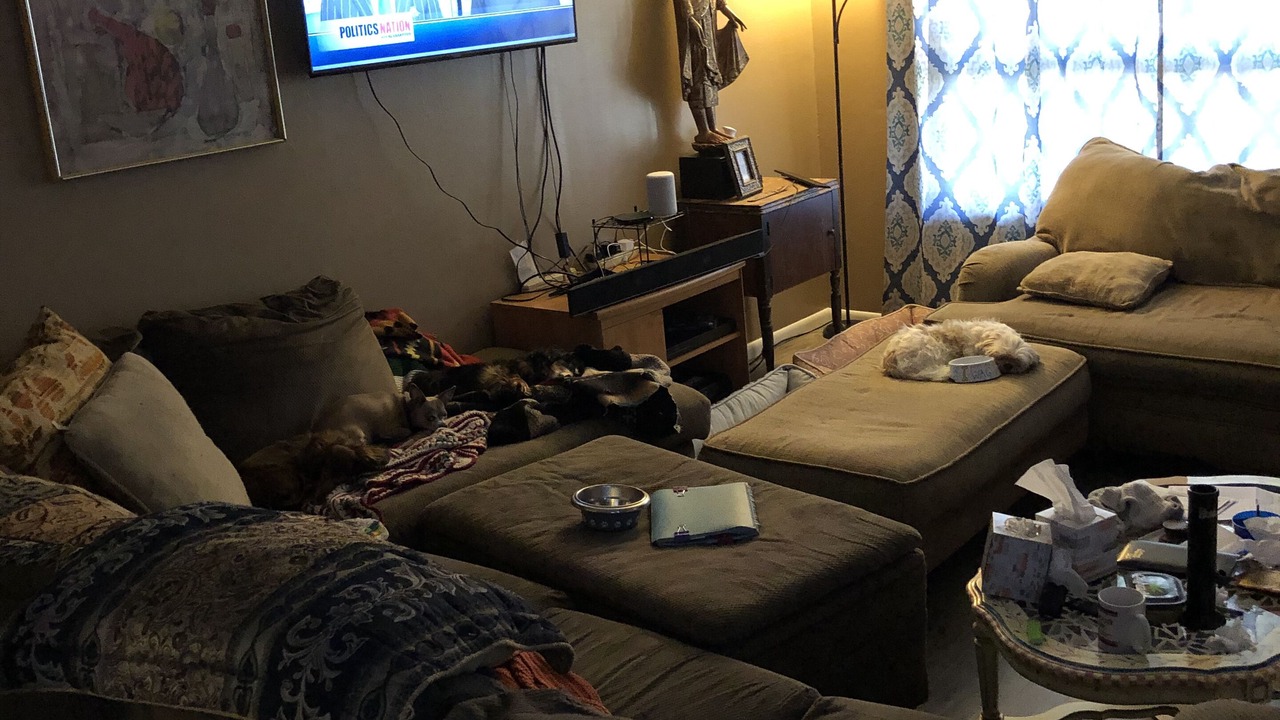 Photo of Livingroom in Lakewood