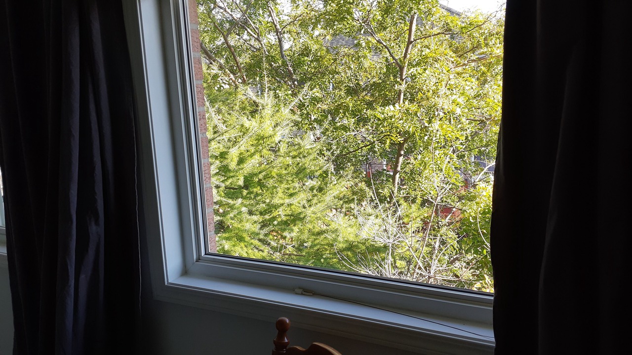 Photo of Others in East Credit