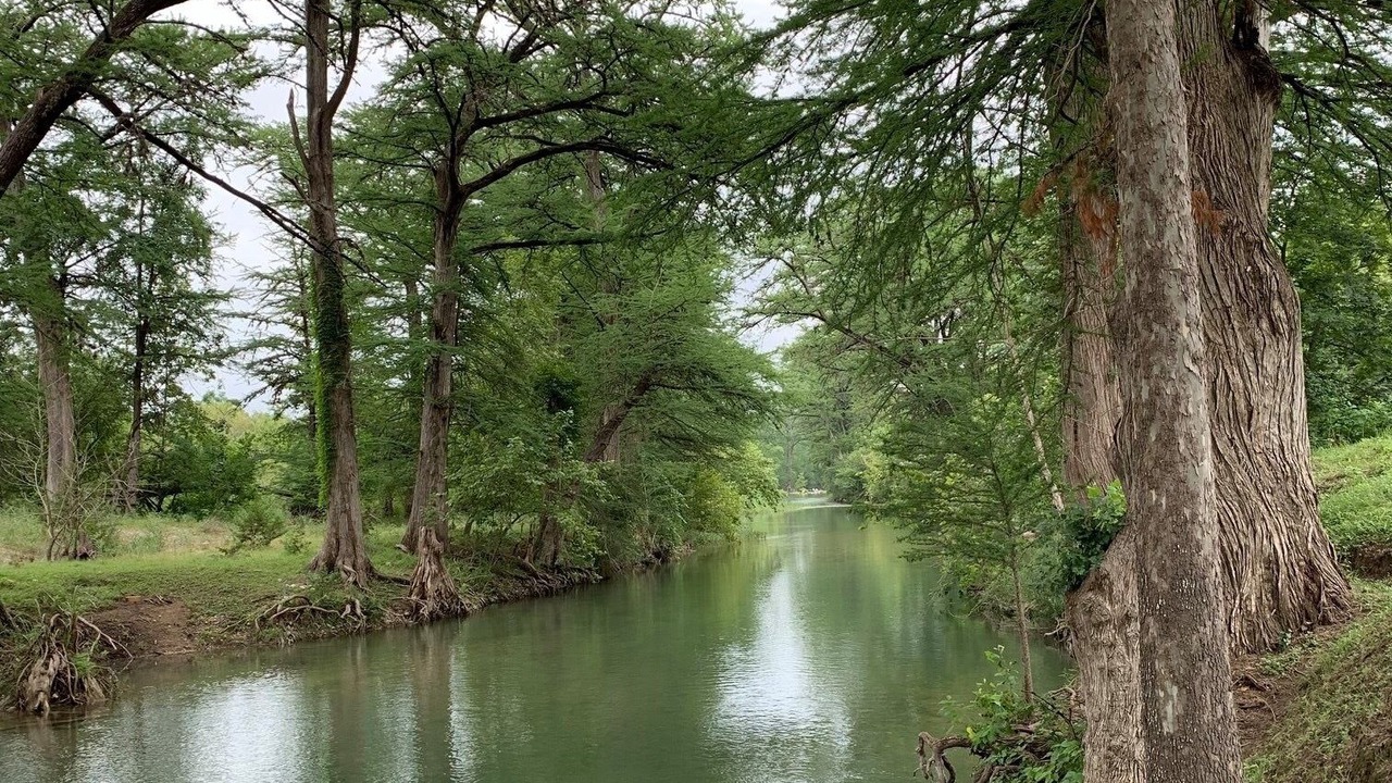 Photo of Others in Bandera