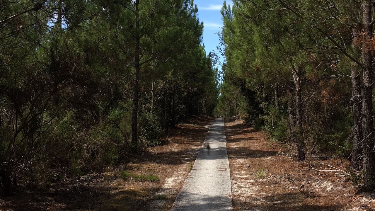 Photo of Outdoor in Carcans Plage