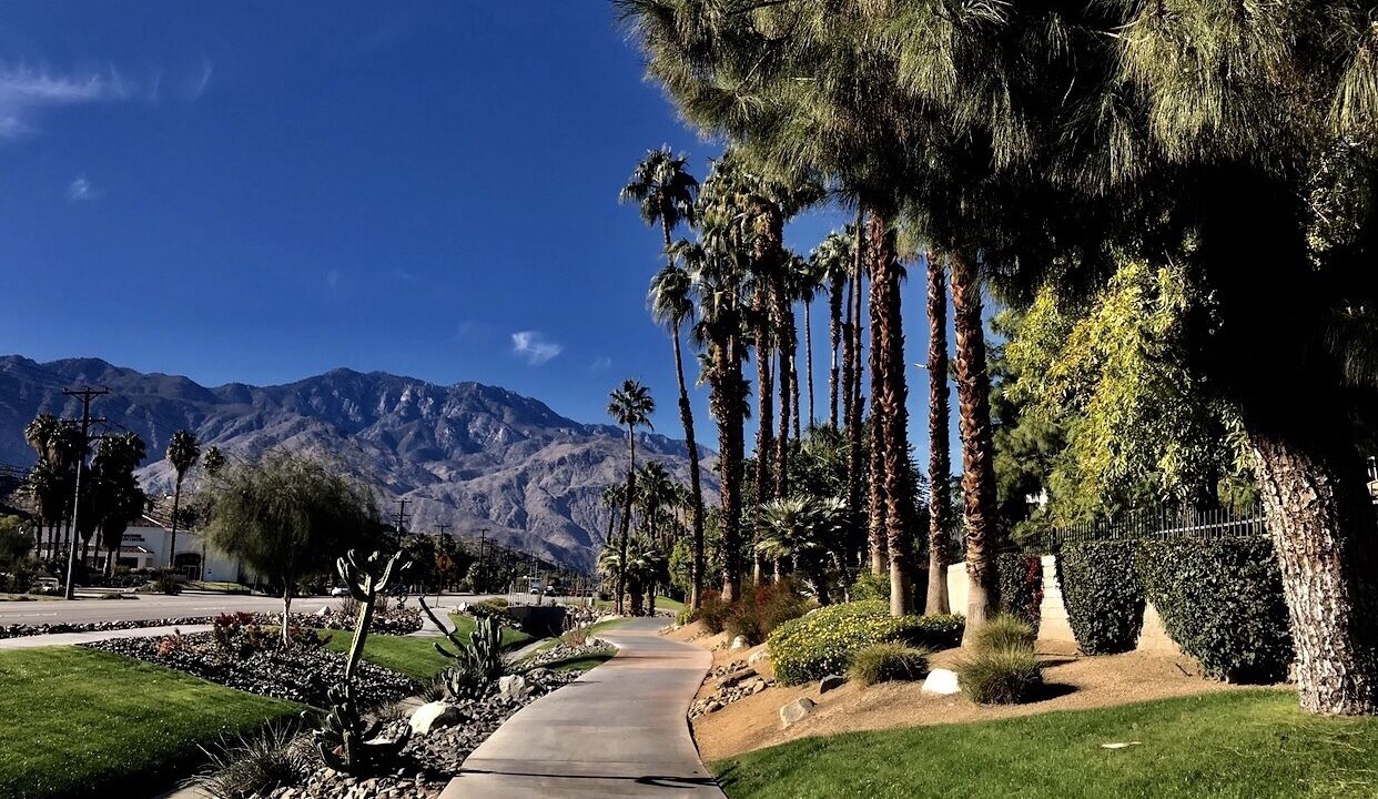Photo of Outdoor in Palm Springs