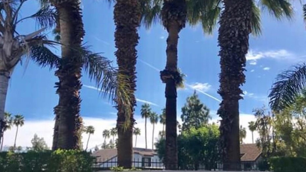 Photo of Outdoor in Palm Springs