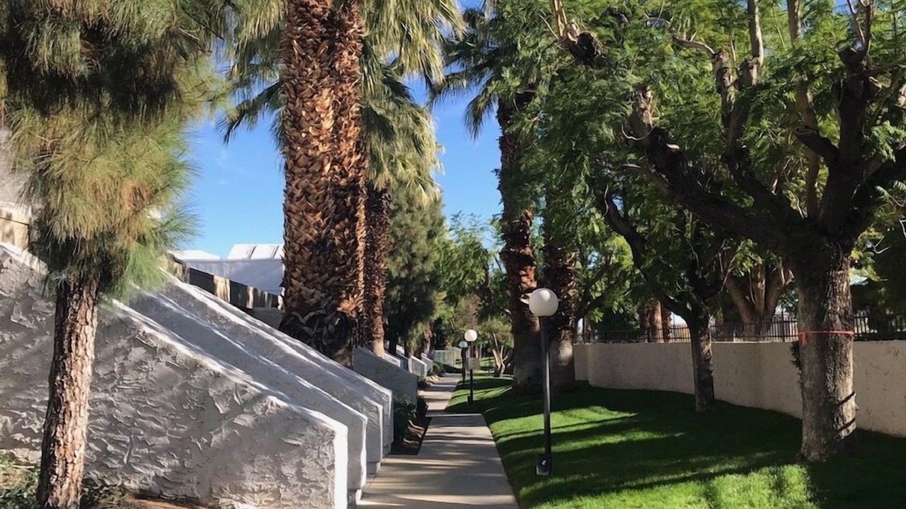 Photo of Others in Palm Springs