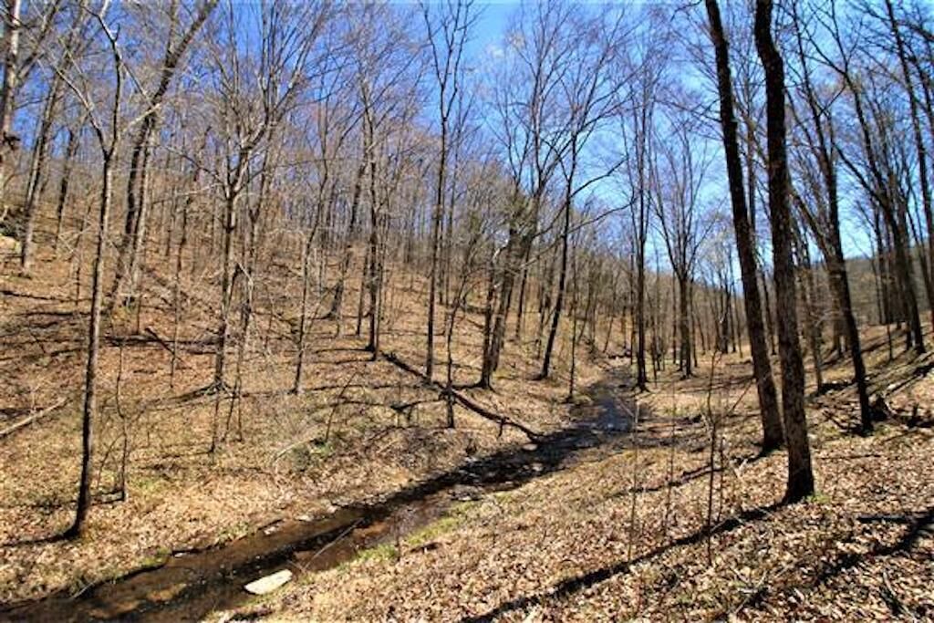 Photo of Outdoor in Franklin