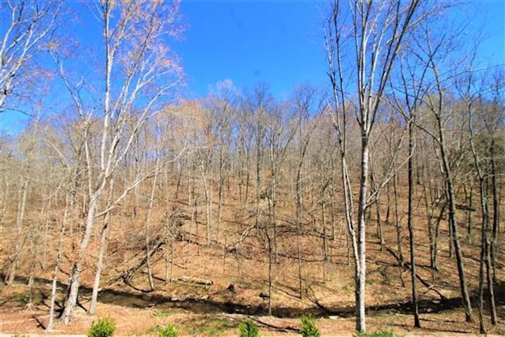 Photo of Outdoor in Franklin