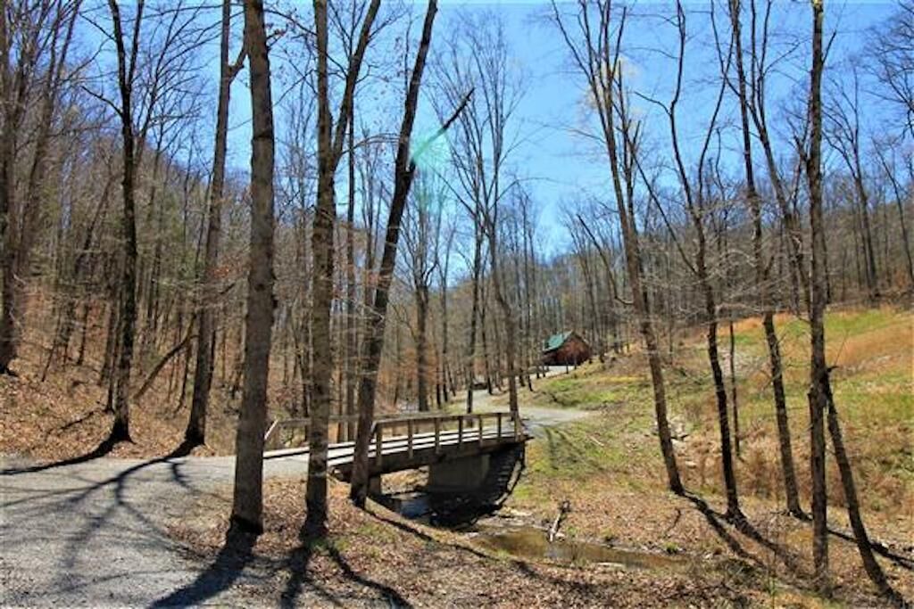 Photo of Outdoor in Franklin