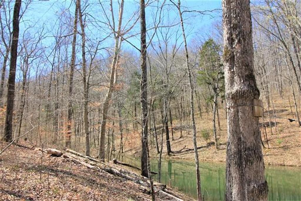 Photo of Outdoor in Franklin