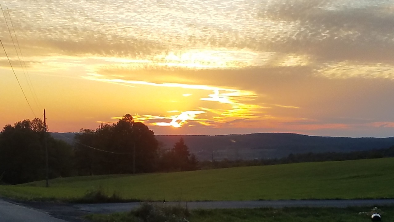 Photo of Others in Burlington Flats