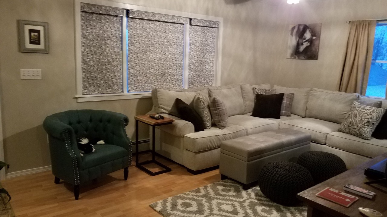 Photo of Livingroom in Burlington Flats