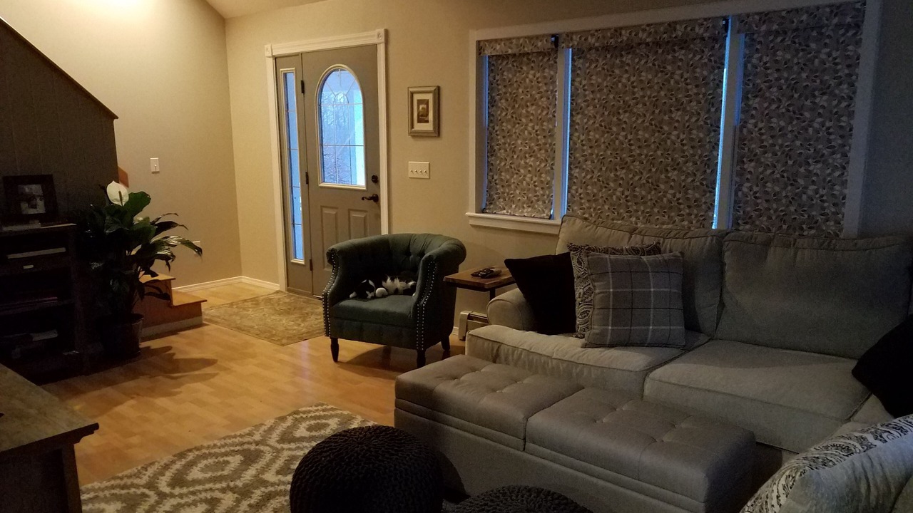 Photo of Livingroom in Burlington Flats