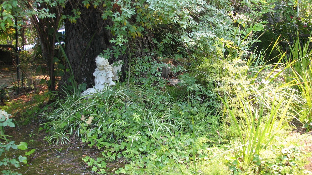 Photo of Others in Monte Sereno