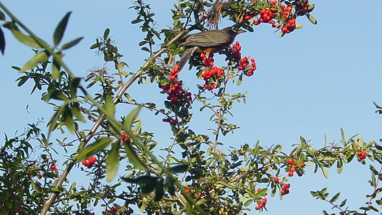 Photo of Others in Monte Sereno