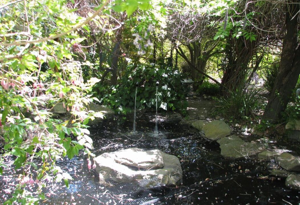 Photo of Others in Monte Sereno