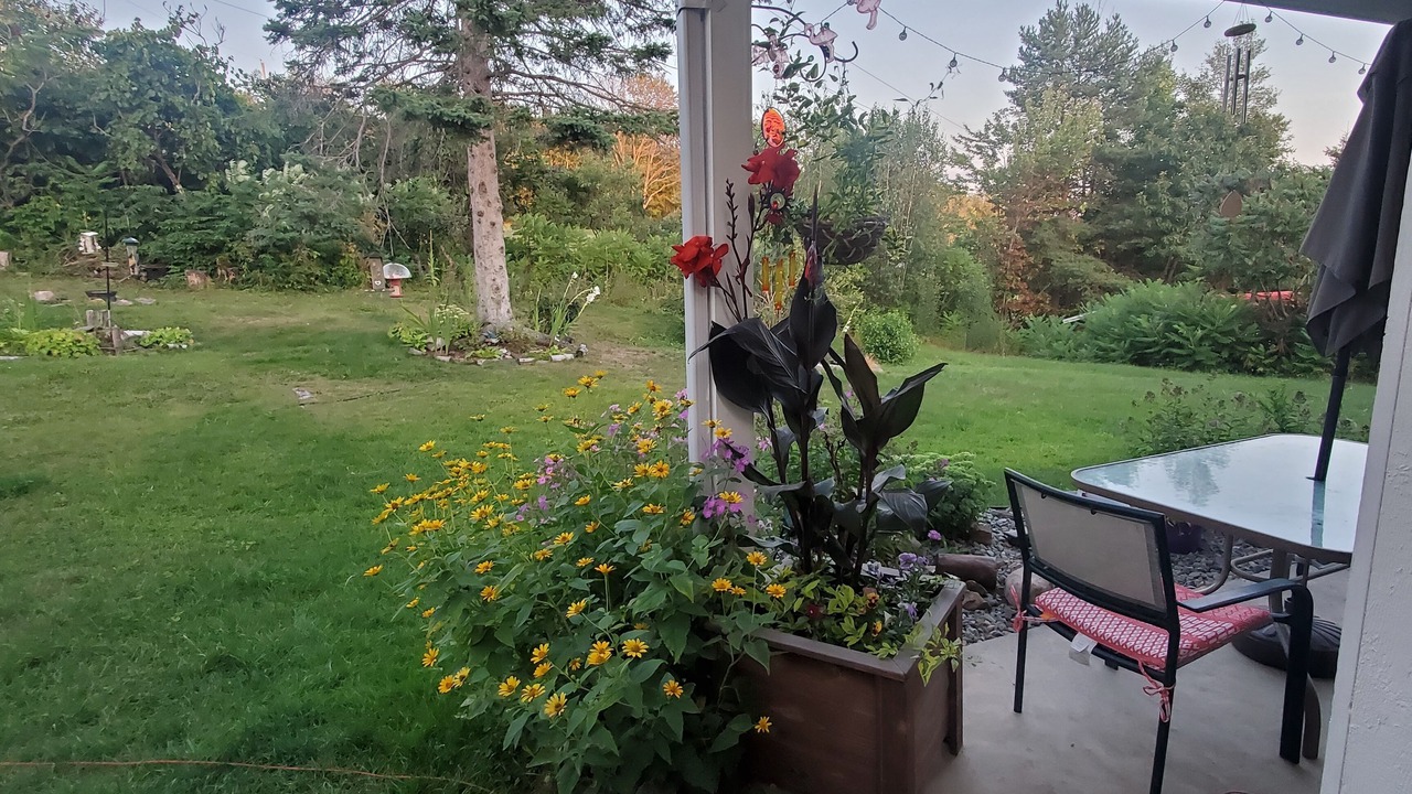 Photo of Outdoor in Cowansville