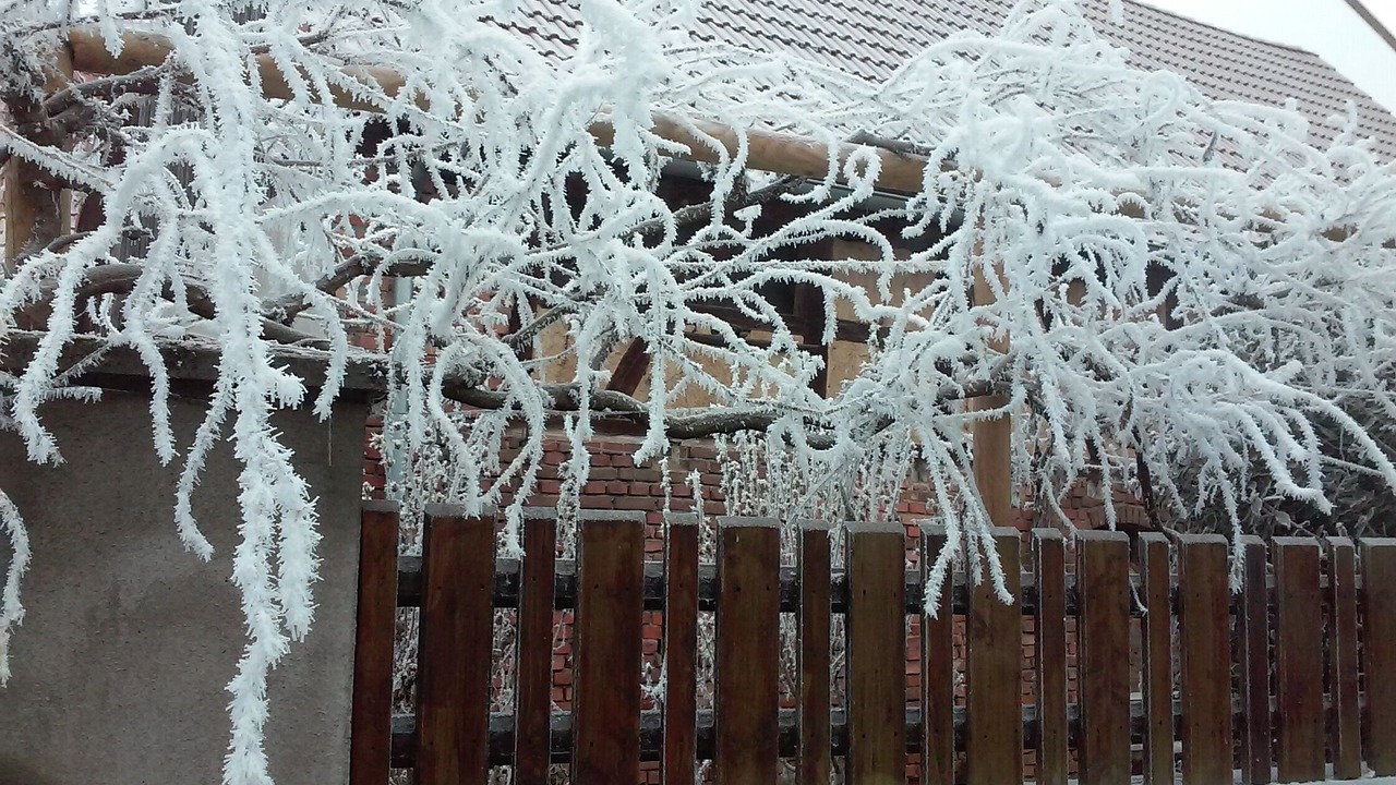 Photo of Outdoor in Epfig