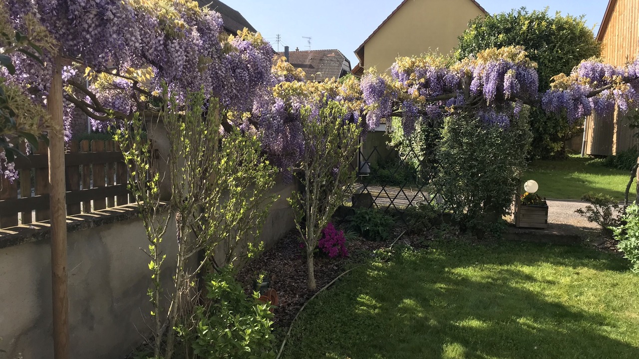Photo of Outdoor in Epfig