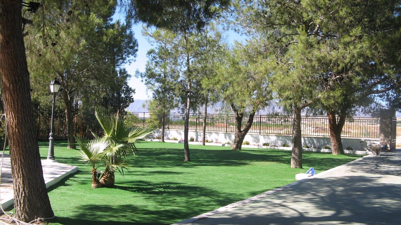 Photo of Outdoor in Archena