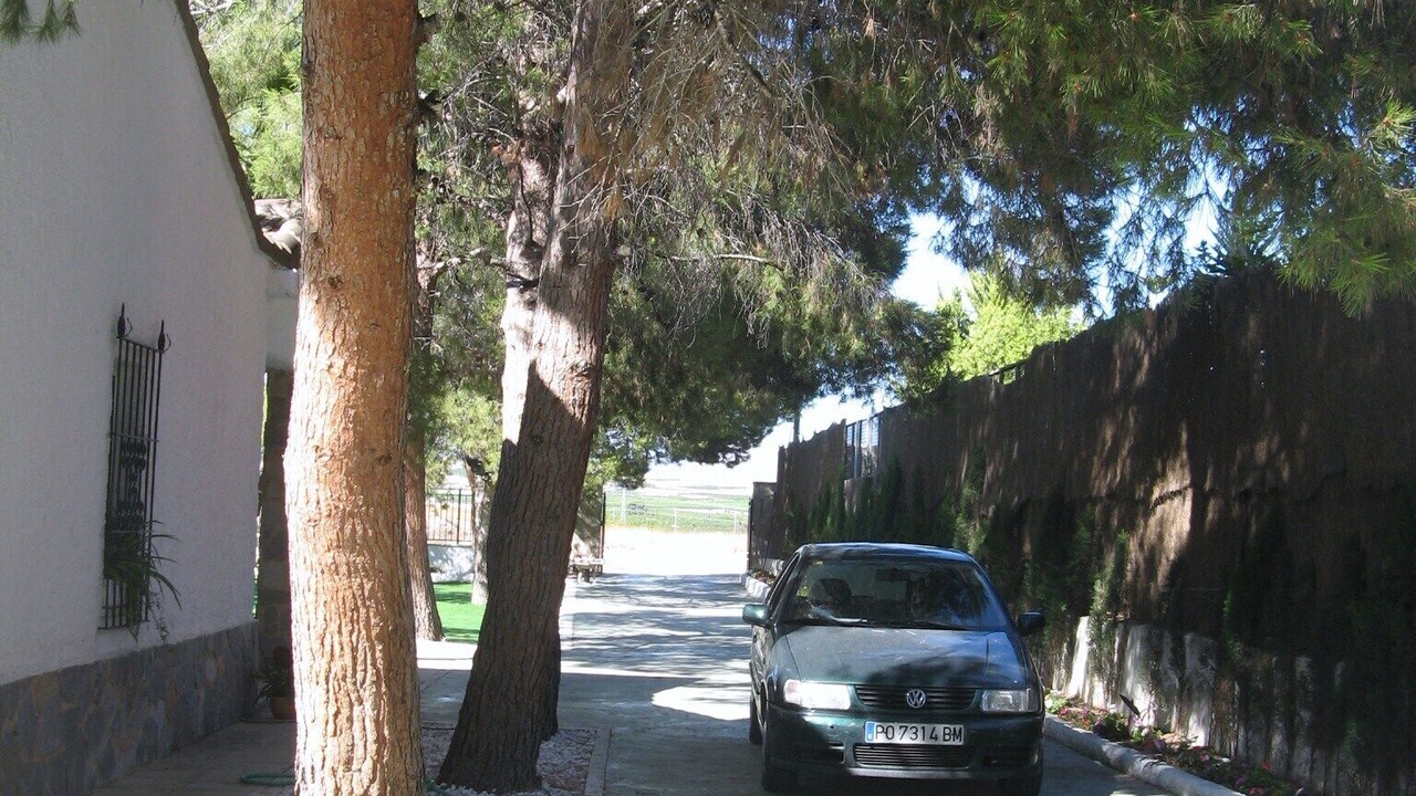 Photo of Outdoor in Archena
