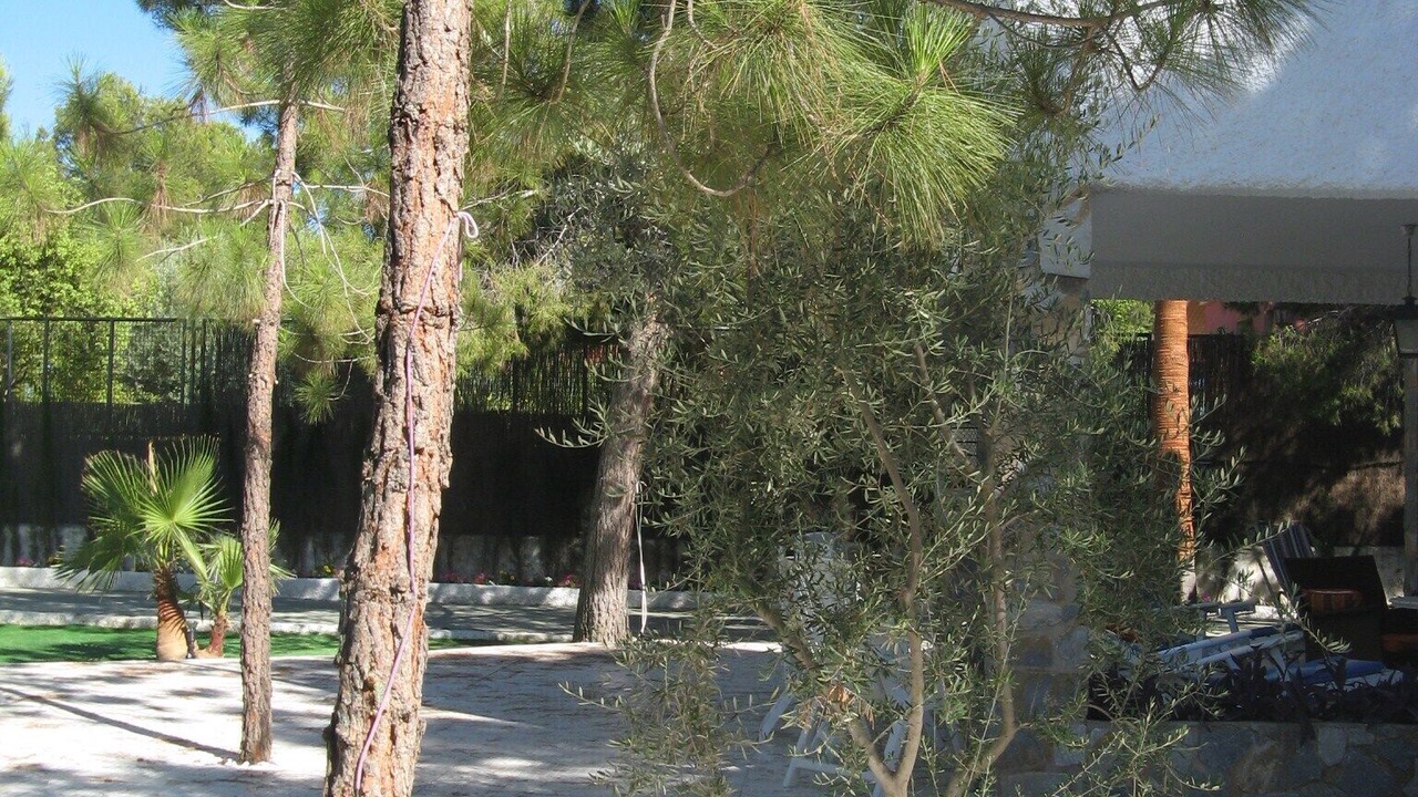 Photo of Outdoor in Archena