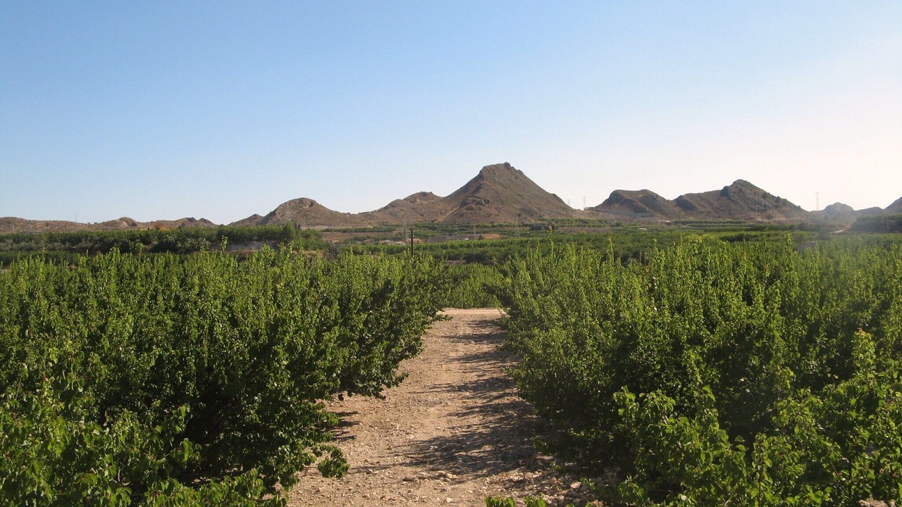 Photo of Outdoor in Archena