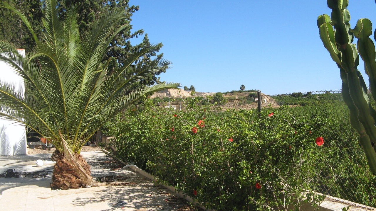 Photo of Outdoor in Archena