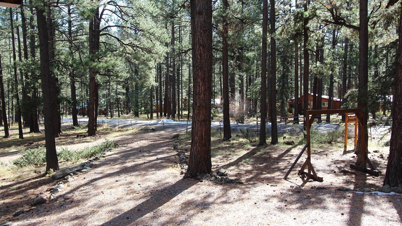 Photo of Others in Greer