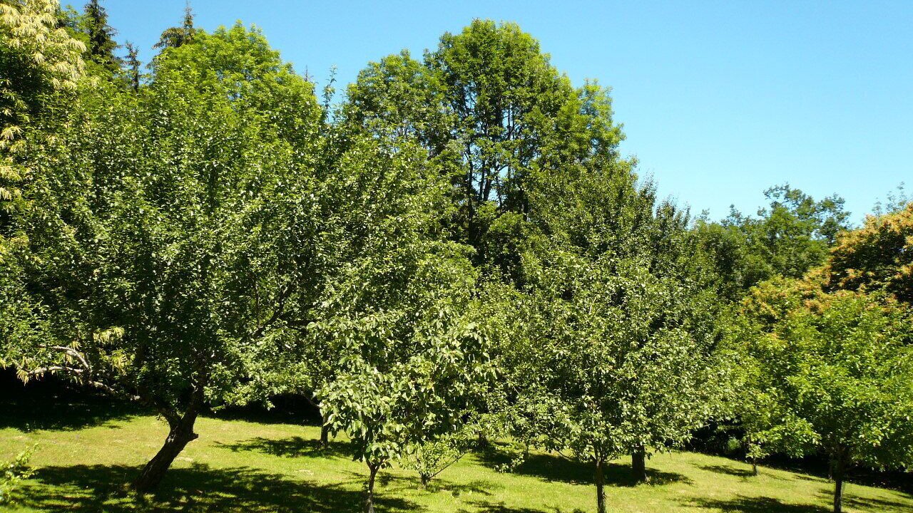 Photo of Outdoor in Castelnau-de-Brassac